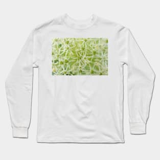 Allium karataviense  &#39;Ivory Queen&#39;  Kara Tau garlic Long Sleeve T-Shirt